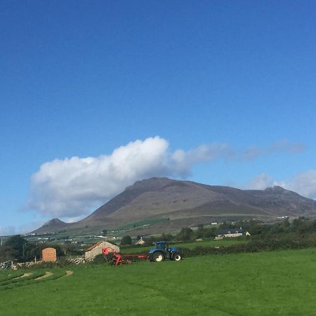Villa Willowtree Glamping Mournes à Annalong Extérieur photo