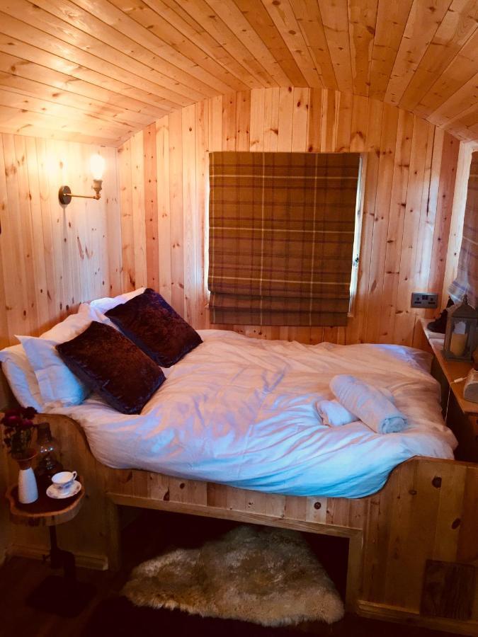 Villa Willowtree Glamping Mournes à Annalong Extérieur photo