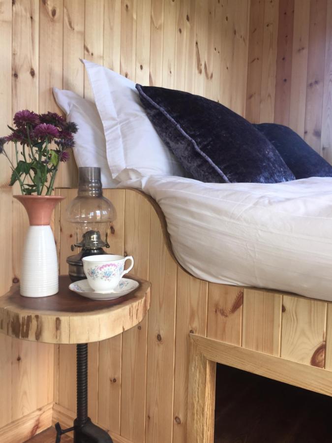 Villa Willowtree Glamping Mournes à Annalong Extérieur photo