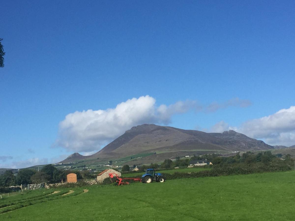 Villa Willowtree Glamping Mournes à Annalong Extérieur photo