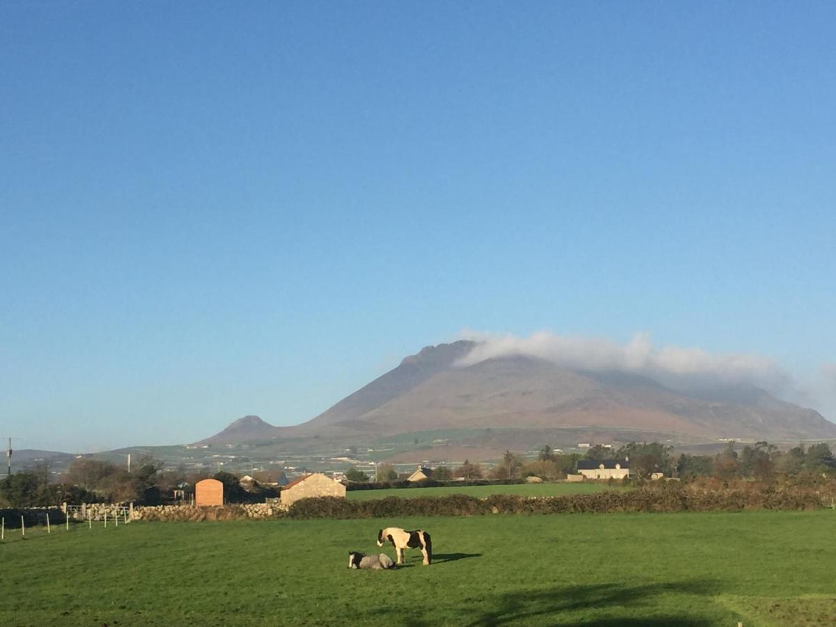 Villa Willowtree Glamping Mournes à Annalong Extérieur photo